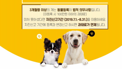 동물등록 자진신고기간 운영(2019. 7. 1. ~ 8. 31.)