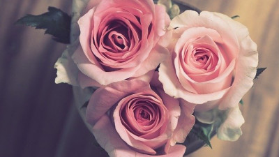 공주시, 코로나19 대응 관내 6개 예식장 현장 점검