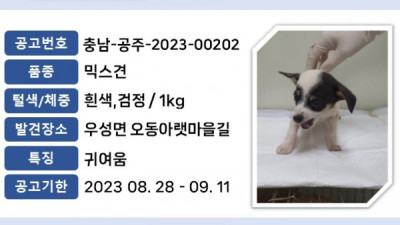 보호중인 유기·유실동물 알림