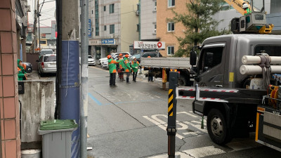 신관동 자율방재단, 위험목 사전 제거 활동 전개