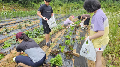 드림스타트 어린이 텃밭 가꾸기 프로그램 운영